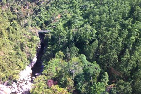 Lokakarya tentang restrukturisasi kehutanan